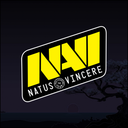 Más información sobre "NaVi Logo Graffiti"