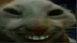 image.png.e7ddb3aae608f8643c9b4864718b21ee.png