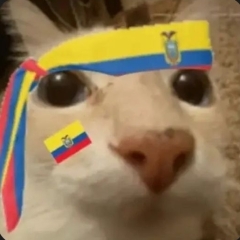 JaredSito