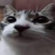 Th0m1